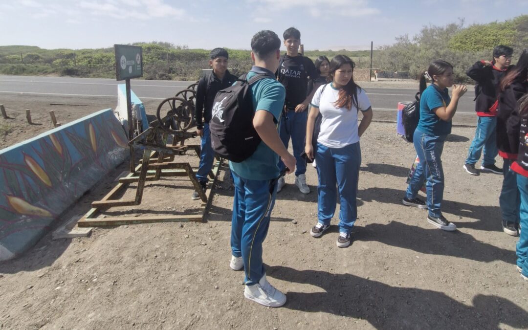 Estudiantes del Colegio Chile Norte realizan salida pedagógica al Humedal de Arica con proyecto estilo 31 Minutos
