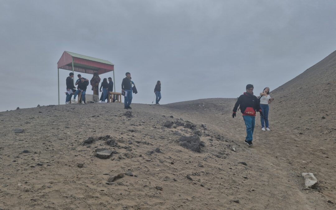 Salida a terreno Circuito Arqueológico de Azapa